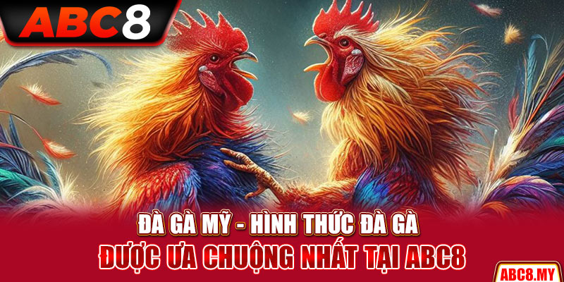 Đá gà Mỹ – Hình thức đá gà được ưa chuộng nhất tại ABC8