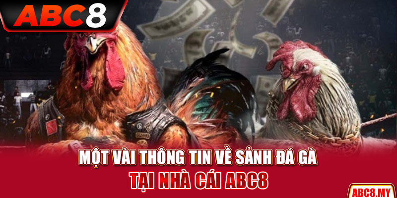 Một vài thông tin về sảnh đá gà tại nhà cái ABC8