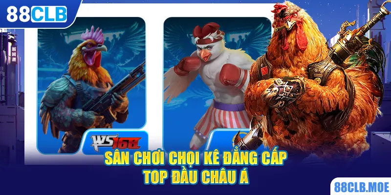 Sân chơi chọi kê đẳng cấp top đầu châu Á