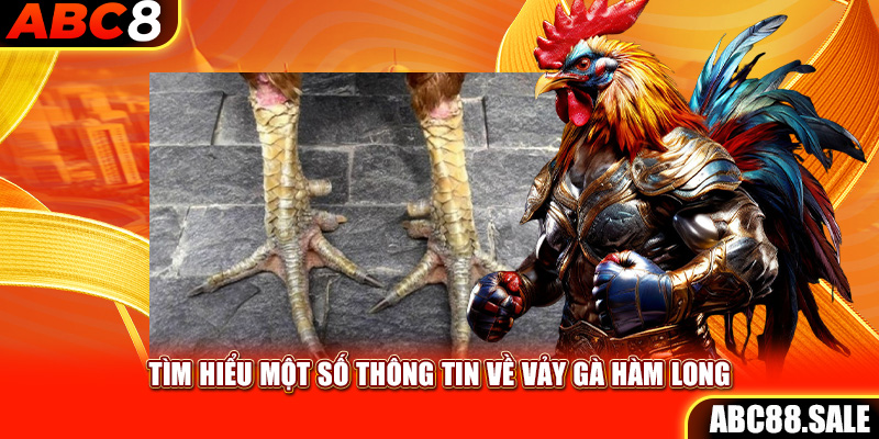 Tìm hiểu một số thông tin về vảy gà Hàm Long